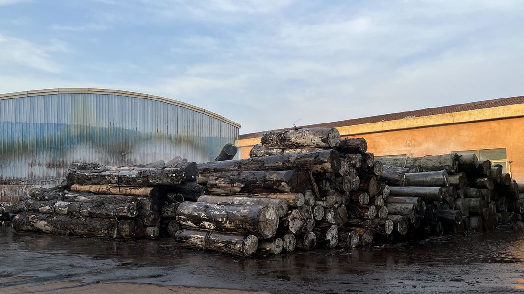 Dongguan Lingfeng Wood Industry Co., Ltd. производственная линия производителя