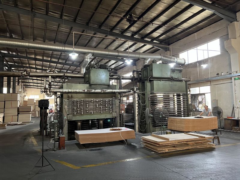 Dongguan Lingfeng Wood Industry Co., Ltd. производственная линия производителя
