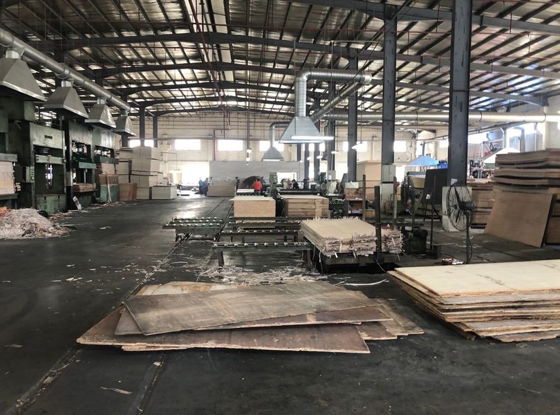 Dongguan Lingfeng Wood Industry Co., Ltd. производственная линия производителя