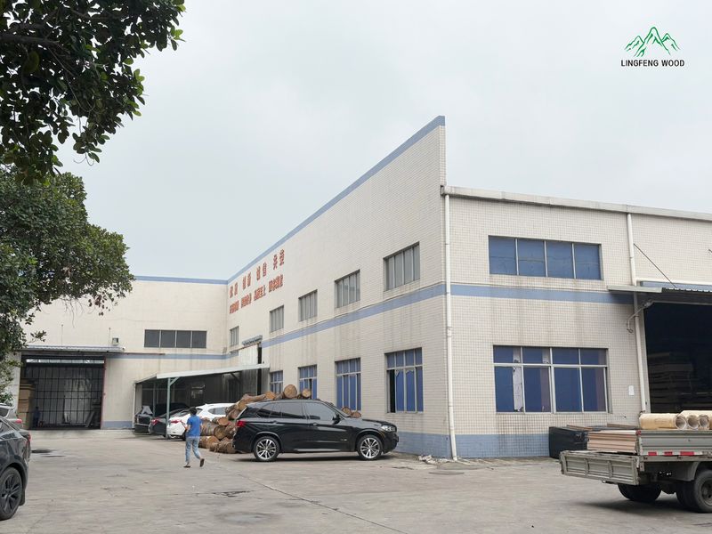 Dongguan Lingfeng Wood Industry Co., Ltd. производственная линия производителя