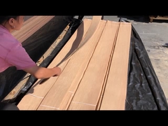 Американский белый дубовый фанера четверть резки